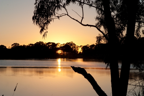Gosling Creek  Reserve